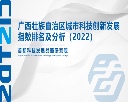 jb艹逼抽插啊啊啊【成果发布】广西壮族自治区城市科技创新发展指数排名及分析（2022）